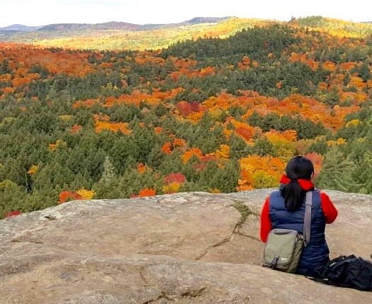 algonquin