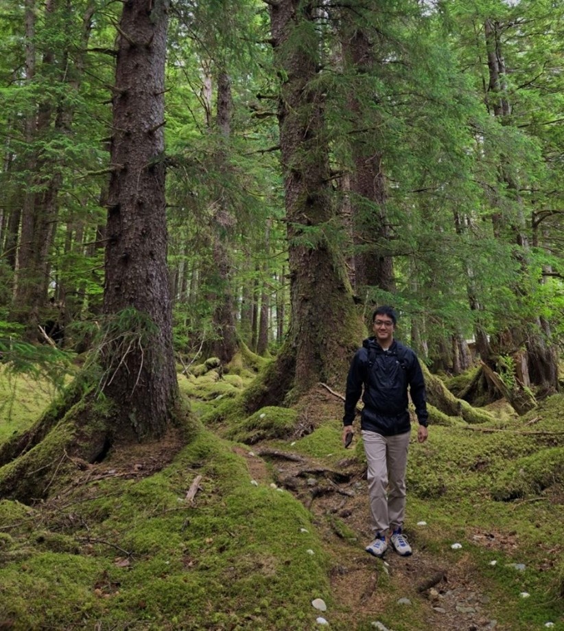 forest