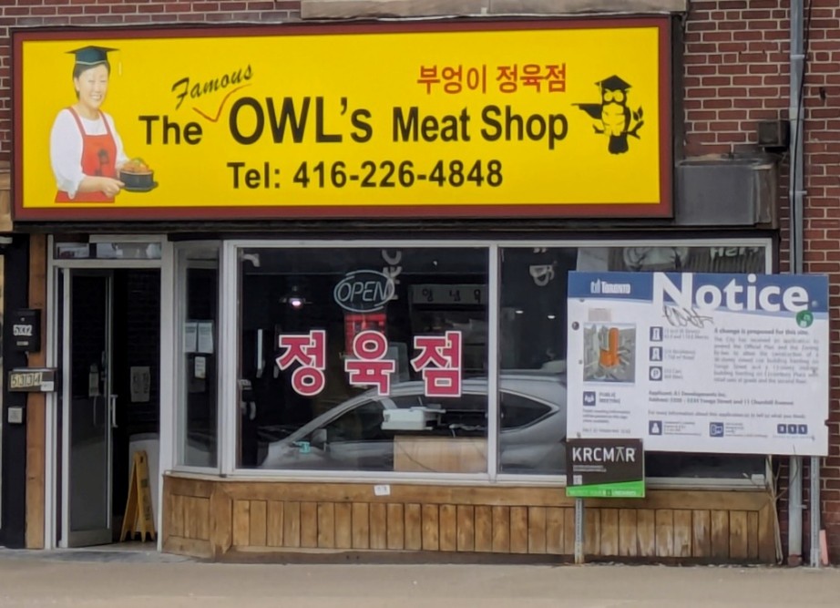 owl