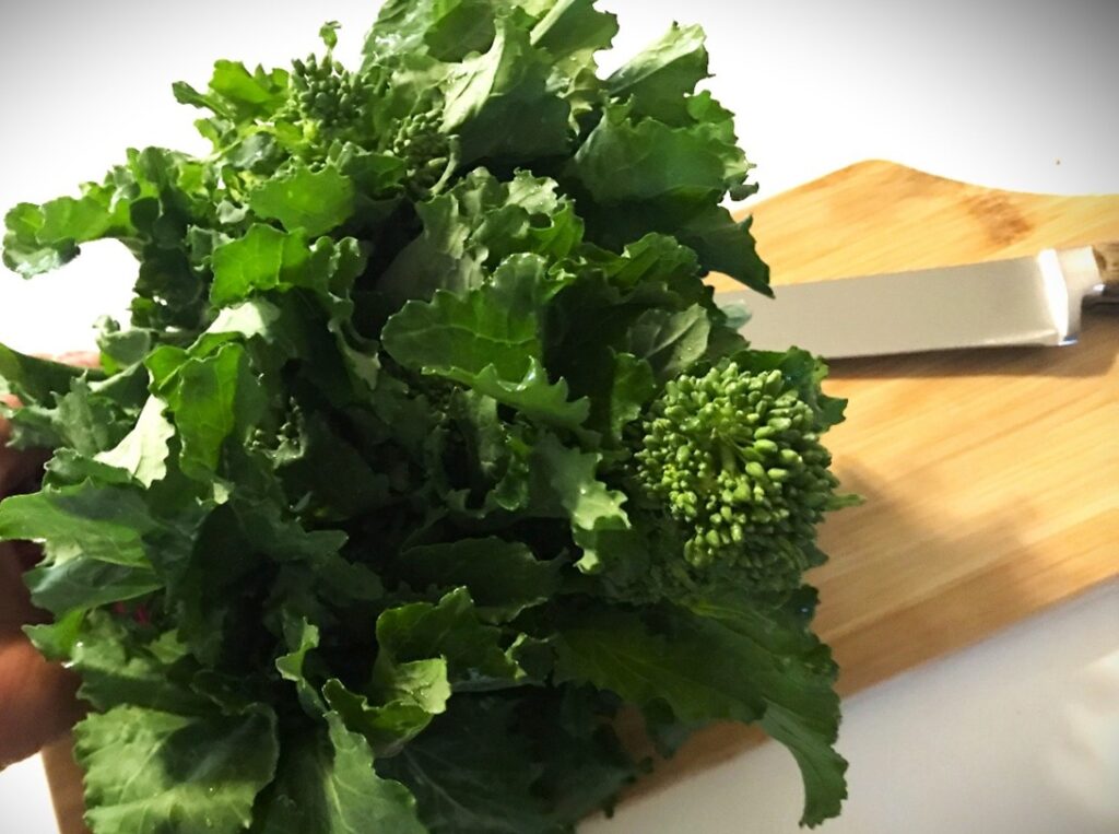 わたしのトロント食生活 万能野菜ラピーニを… 三藤あゆみ