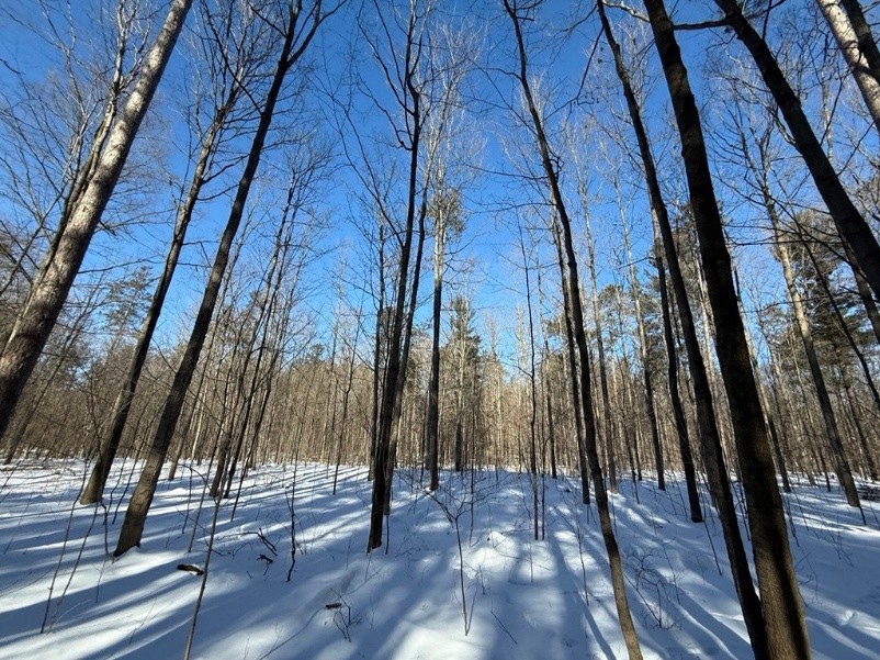 mountain in winter 