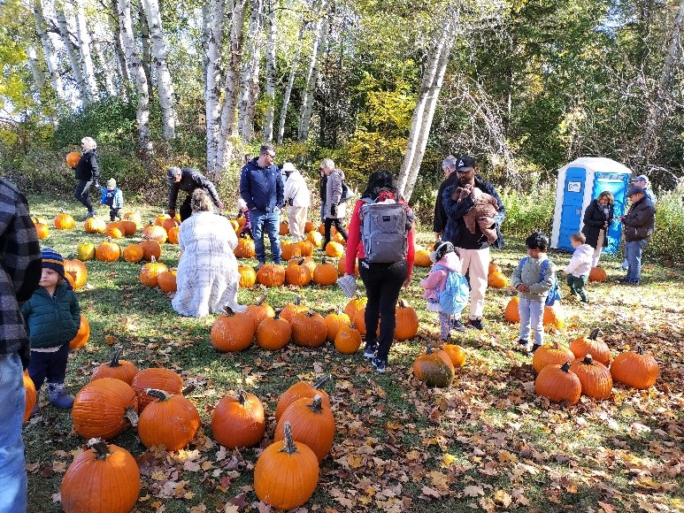pumpkin