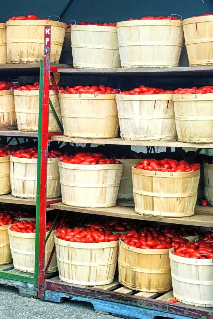 tomato souce